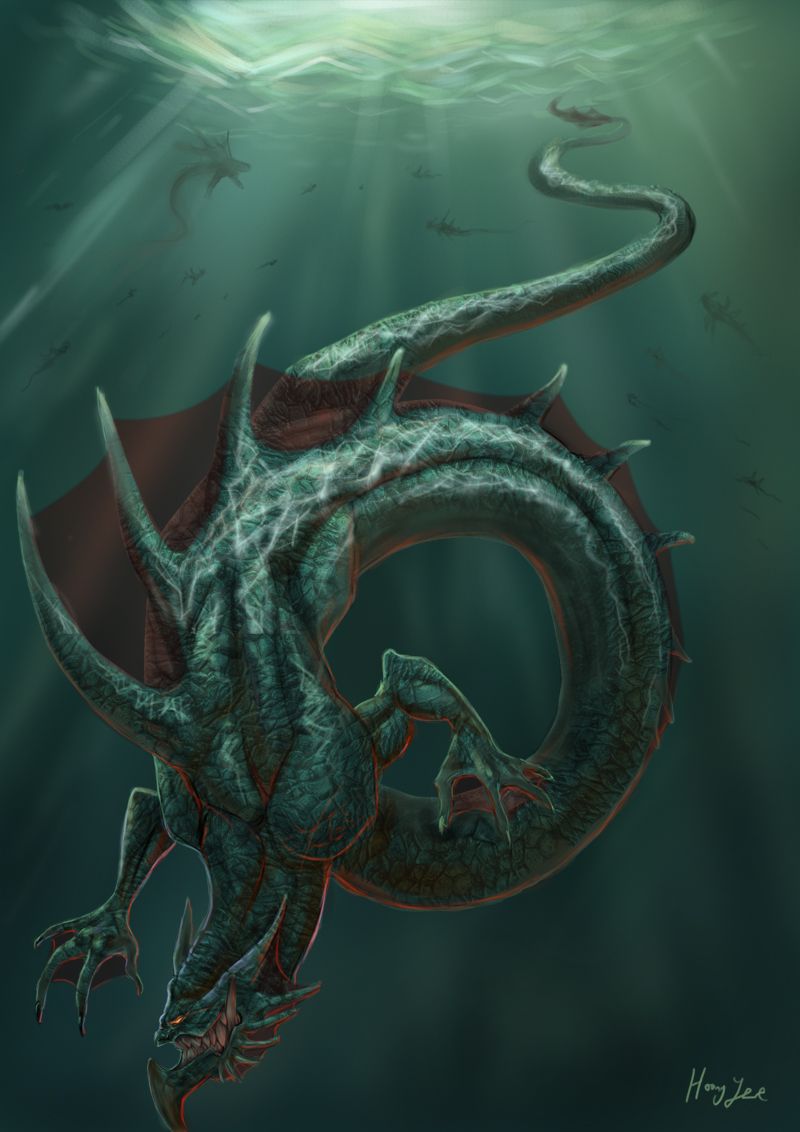 Dragon Marin Dragon Marin